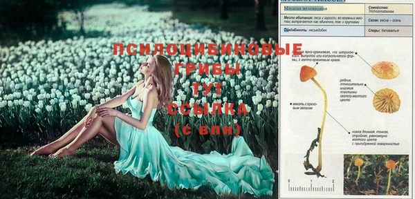 тгк Баксан